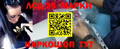 шишки Сланцы