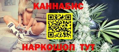шишки Сланцы