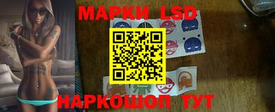 шишки Сланцы