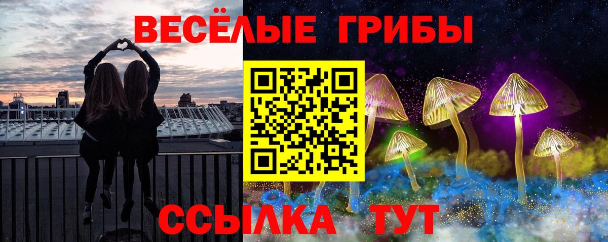 Галлюциногенные грибы Psilocybe  Вход с VPN  Реж 